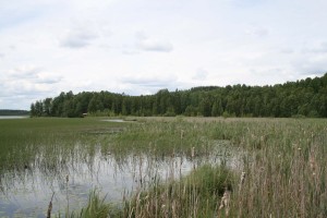 Valkeakoski, Lake Tykölänjärvi